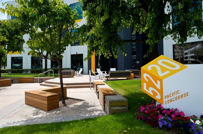 Pacific Concourse 2019-032